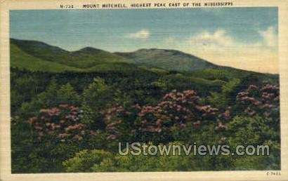 Highest Peak East of Mississippi in Mount Mitchell, Mississippi