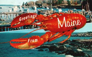 Vintage Postcard 1964 Greetings From Maine Giant Lobster Sea Ocean Harbor Ships