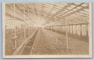c1910's Greenhouse Interior Farm Garden RPPC Photo Unposted Antique Postcard