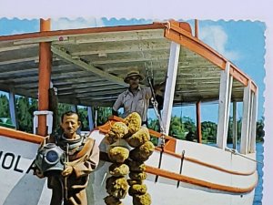 Sponge Diver Tarpon Springs Florida Ship Boat Vintage Postcard unposted   475