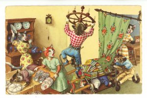 Mainzer Dressed Cats - Calamity