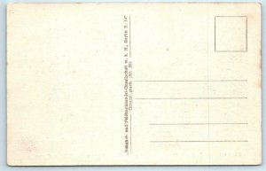 BUCHAREST, ROMANIA ~ Garden Scene GRADINA CISMEGIU c1910s-20s Postcard