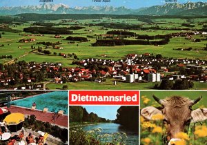 VINTAGE CONTINENTAL SIZE POSTCARD MULTIPLE VIEWS DIETMANNSRIED GERMANY