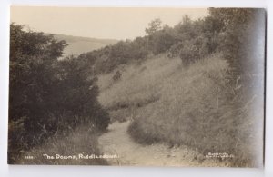 RPPC The Downs Riddlesdown UK Croydon Surrey Burdekin Real Photo Series Postcard