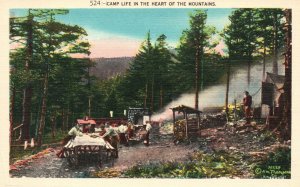 Vintage Postcard 1920's Camp Life in the Heart of Mountains North Carolina N.C.