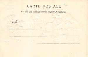 Anthropomorphic Cats Les surprises de l'Hotel Long Bill embossed postcar...