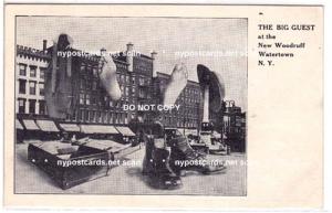 New Woodruff, Watertown NY