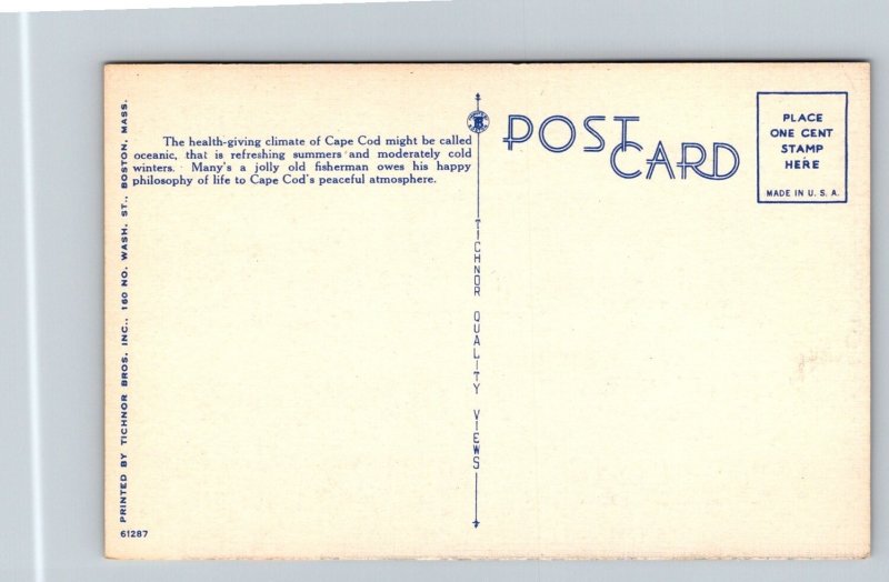 Fisherman  Cape Cod  Massachusetts   Postcard