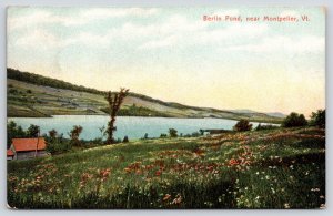 State View~Berlin Pond Near Montpelier Vermont~Vintage Postcard