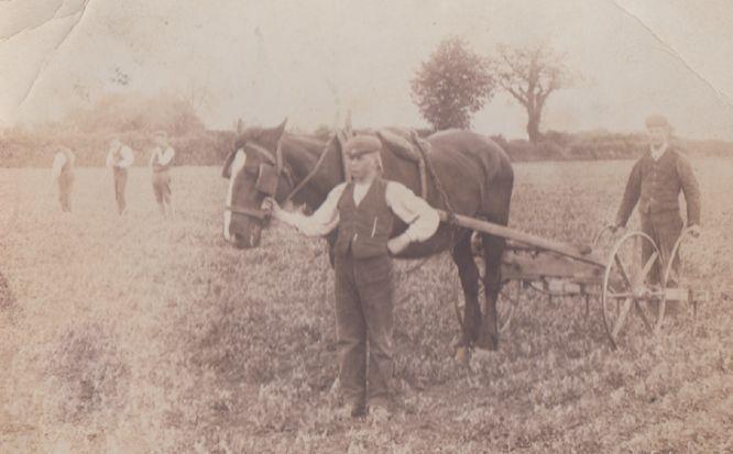 Watton Norfolk Farmers At Work Antique 1904 Farming Postcard