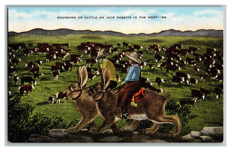 Postcard Rounding Up Cattle On Exaggerated Jack Rabbits Standard View Card