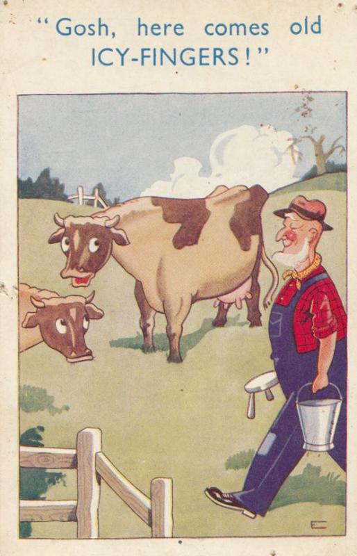 Farmer With Cow Icy Fingers Bucket Of Water Farming Comic Humour Postcard