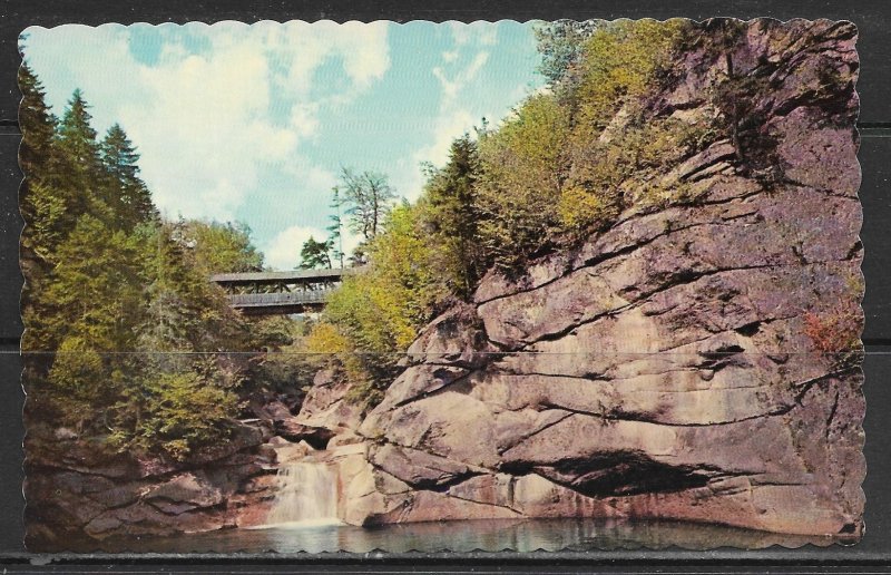 New Hampshire, Franconia Notch - Sentinel Pine Bridge & Pool - [NH-259]