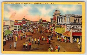 1930-50's BOARDWALK SPORTLAND ART GALLERY WILDWOOD BY-THE-SEA NJ LINEN POSTCARD