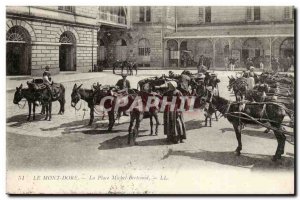 Le Mont Dore Old Postcard Place Michel Bertrand (ass donkey mule) TOP