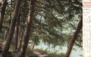 Vintage Postcard 1906 Adirondack Mountain The Pathalon Mirror Lake New York NY