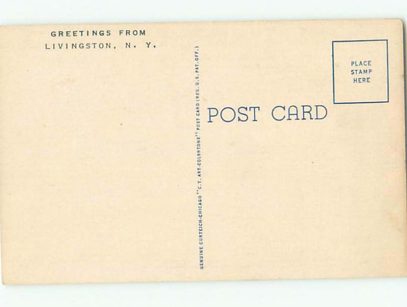 Linen Risque MEN NOTICE SEXY BEACH BIKINI GIRL AB6642