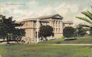 The Museum Sydney NSW Australia 1906 postcard