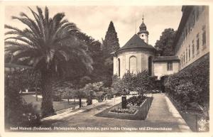 B94551 insel mainau bodensee germany phonixpalme schlosskirche   real photo