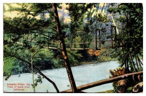 1908 Swinging Bridge, Big Trees of Santa Cruz, CA Postcard