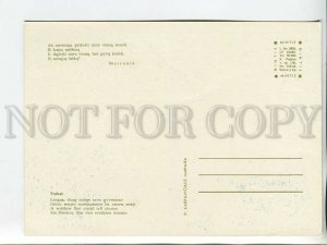 463599 USSR 1966 year Lithuania TRAKAI postcard