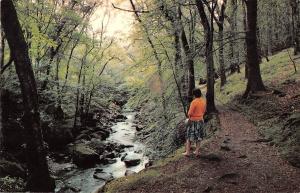 B103622 torrent walk dolgellau    wales