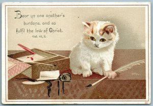 CUTE CAT ANTIQUE ADVERTISING VICTORIAN TRADE CARD