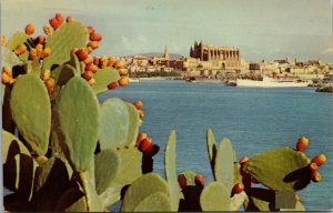 Partial View of the Port Majorca Balearic Islands Spain Postcard PC391