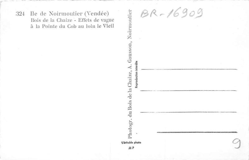 BR16909 Ile de Noirmoutier Bois de la Chaize  france