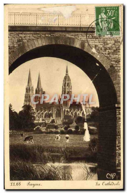 Old Postcard Bayeux Cathedral Cows