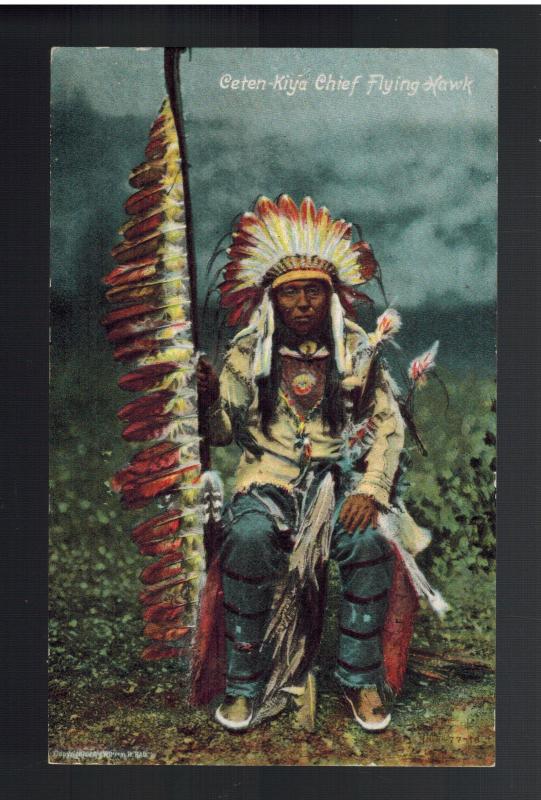 Mint PPC Picture Postcard Cover Native American Indian Chief Flying hawk 