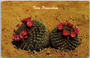 Twin Pincushion Cactus Desert Plant Papago Park Phoenix Arizona AZ Postcard