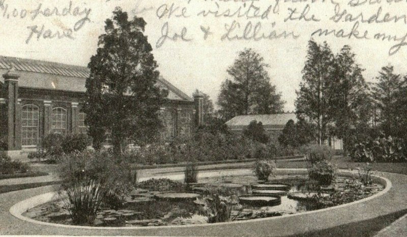 C.1900-04 Shaw's Garden, Lily Pond, St. Louis Postcard P50