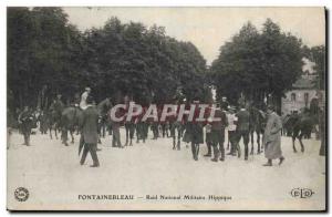 Old Postcard Horse Riding Equestrian Fontainebleau Raid Army National Equine TOP