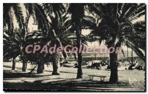 Postcard Old Bandol Allee des Palmiers