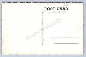 J99/ Delta Ohio Postcard c1940s Pet Milk Factory Creamery 82