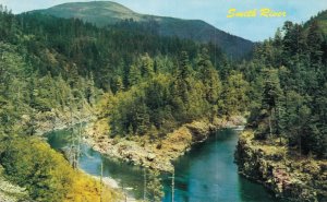 USA Forks Of Smith River California Chrome Vintage Postcard 07.55
