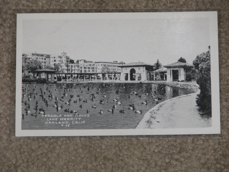 RPPC, Pergola & Ducks Lake Merritt, Oakland, Calif.