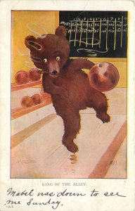 Postcard C-1910 Teddy Bear Bowling sports comic humor Ullman TP24-1549