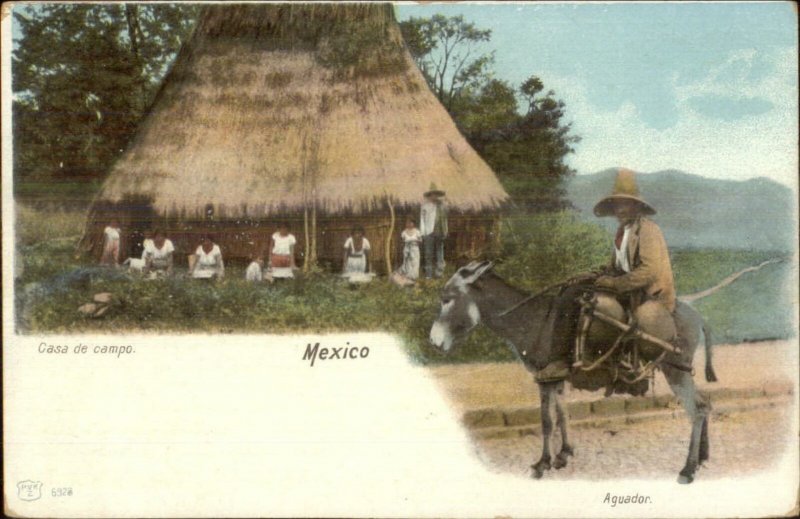 Mexico Native Man Burro Donkey Aguador Labor Work c1905 UDB Postcard