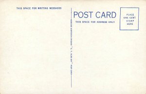 Vintage Postcard Hospital Hope AR Hempstead County Curt Teich Blue Sky