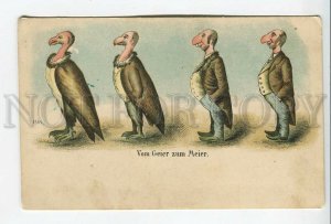 462044 DARWIN Human Evolution from Vulture Bird to MEIER Writer Vintage postcard