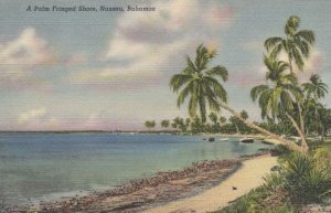 Nassau A Palm Fringed Shore Old Linen Bahamas Postcard