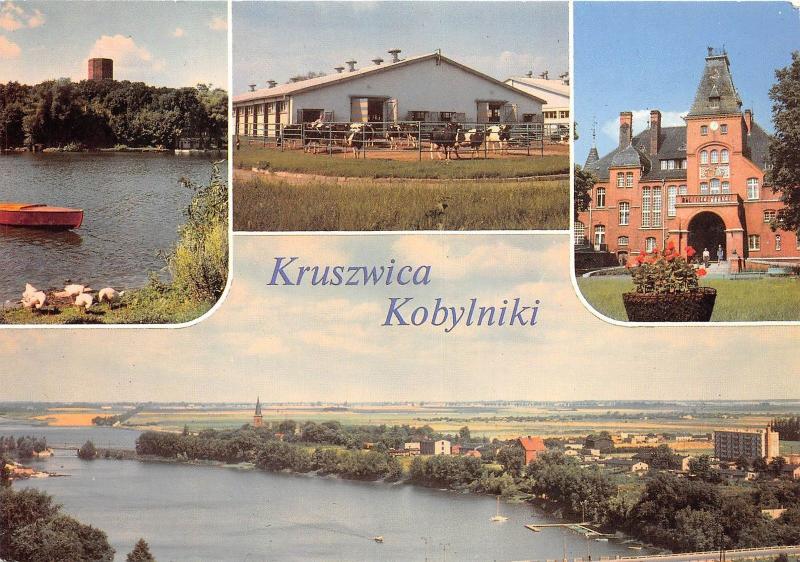 B46236 Kruszwica Kobylniki multiviews   poland