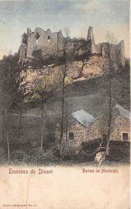 B93673 ruines de montaigle  dinant     belgium