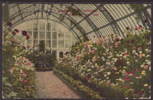 Mitchell Park Conservatory,Milwaukee,WI Postcard