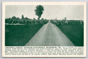 Civil War Sharpsburg MD Cornfield Avenue Antietam Battlefield Postcard R22