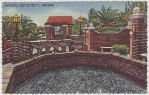 Murrieta California 1940s Postcard Guenther's Murrieta Mineral Hot Springs