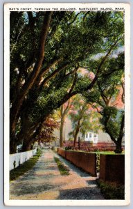 K30/ Nantucket Island Massachusetts Postcard c1910 Ray's Court Willows 329