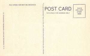 Masonic Temple Building Landmark Springfield Illinois IL Vintage Postcard